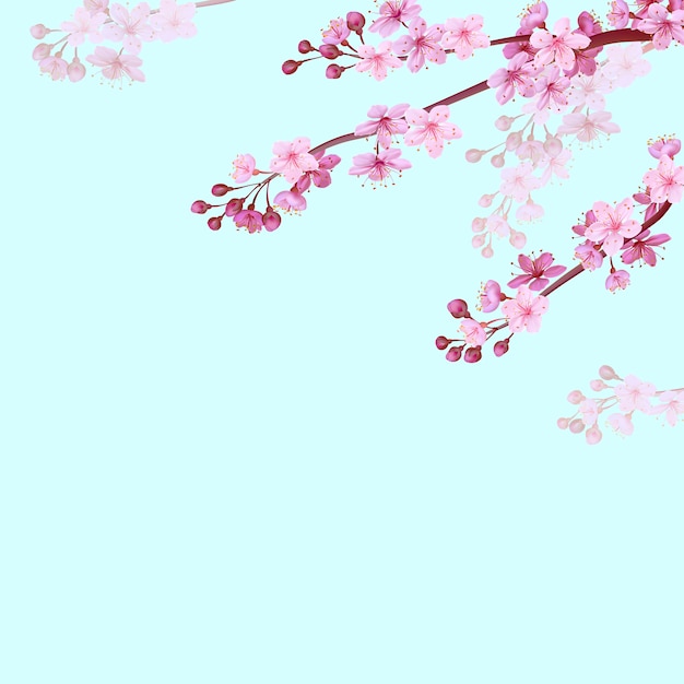 柔らかな青い空を背景に現実的な中国のピンクの桜の背景 オリエンタルパターンの花の花春の背景 3d自然背景イラスト プレミアムベクター