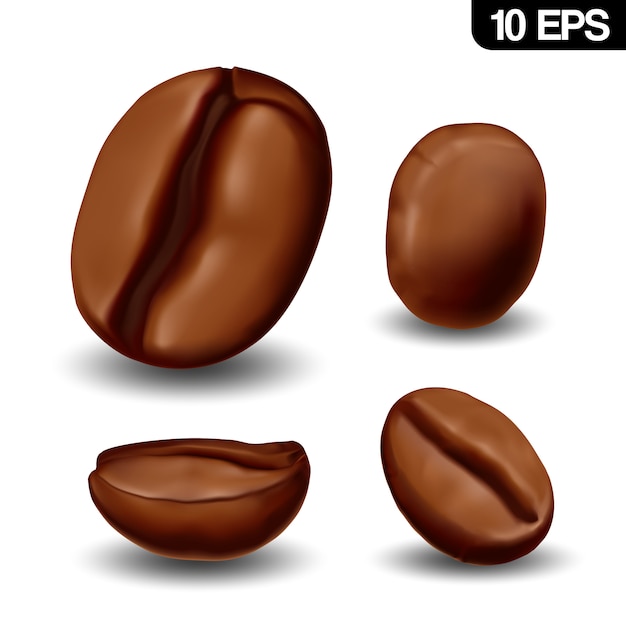 Download Premium Vector | Realistic coffee beans