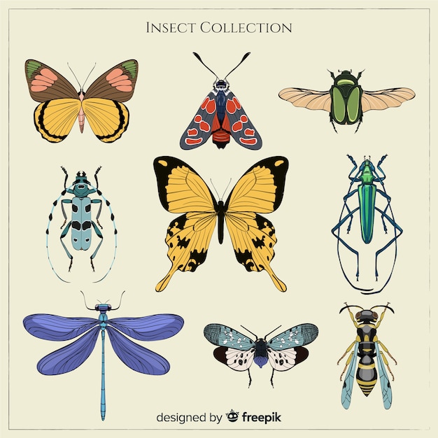 Realistic colorful bug collection Free Vector