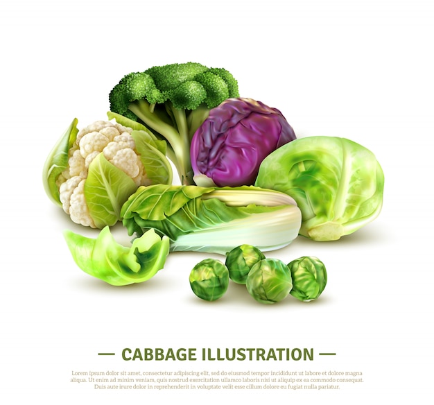 List 104+ Pictures broccoli cauliflower kale brussels sprouts and cabbage Stunning