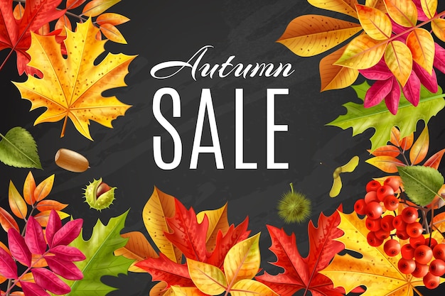色あせた葉のイラストに囲まれたリアルな秋のセール黒板フレーム 無料のベクター