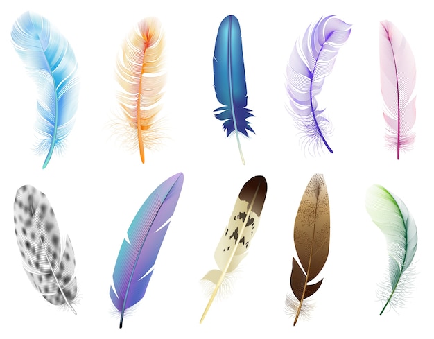 リアルな羽 鳥の色落ちるふわふわの羽 浮遊鳥の柔らかい羽の羽のアイコンを設定します ふわふわと羽 羽落ちるイラスト プレミアムベクター