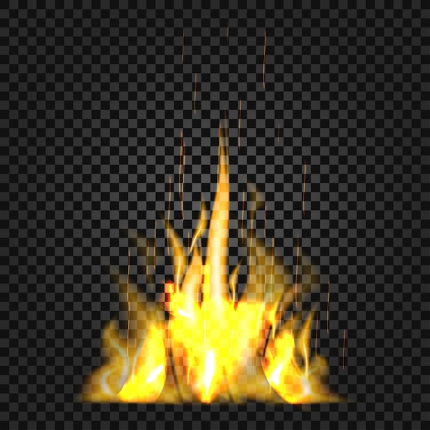 Premium Vector | Realistic fire flames on black background