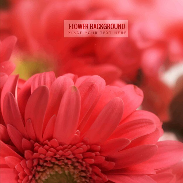 Free Vector | Realistic flower background