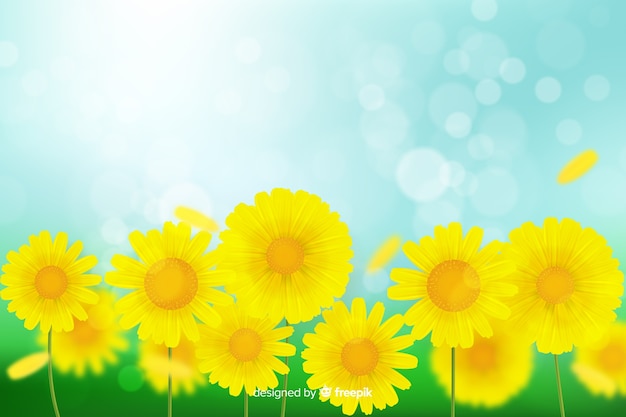 Free Vector | Realistic flowers background concept