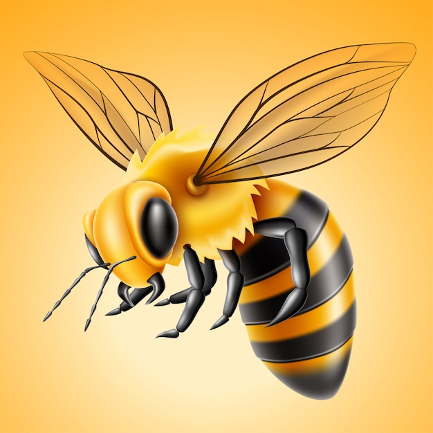 リアルなミツバチの天然蜂蜜製品 プレミアムベクター