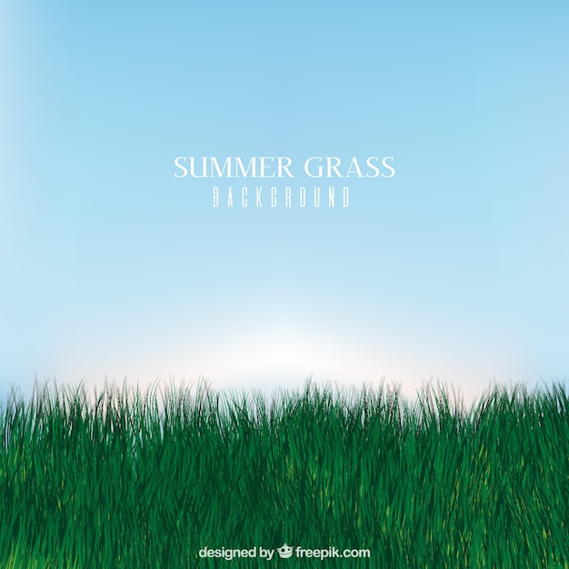 Free Vector | Realistic grass background