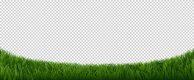 Download Premium Vector | Realistic grass border. green herb lawn ...