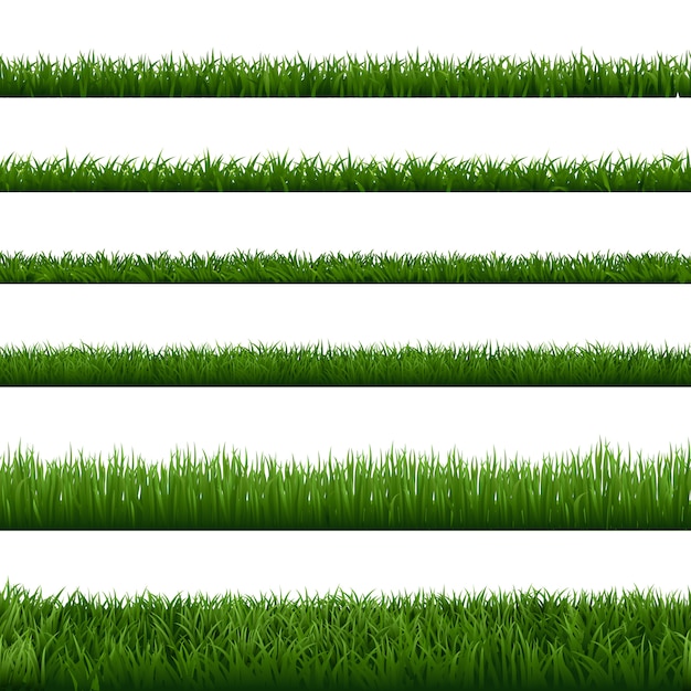 Download Realistic grass borders. green garden herb plant, field ...