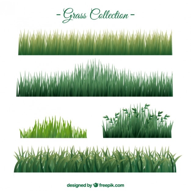 Free Vector | Realistic grass set