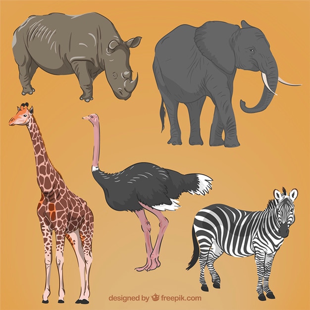 Realistic hand drawn african animals