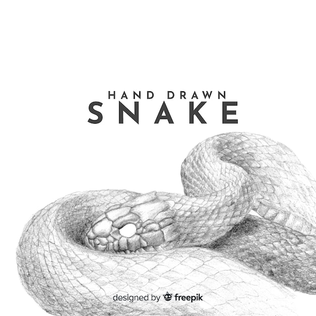 リアルな手描きの無色蛇の背景 無料のベクター