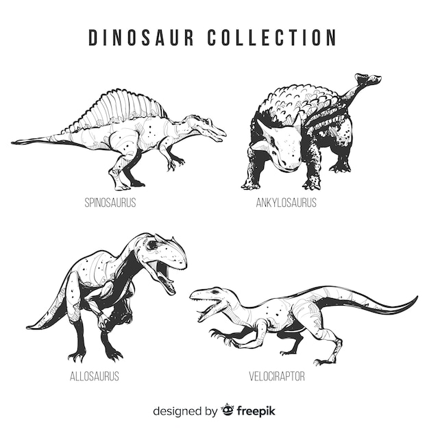 リアルな手描きの恐竜コレクション プレミアムベクター