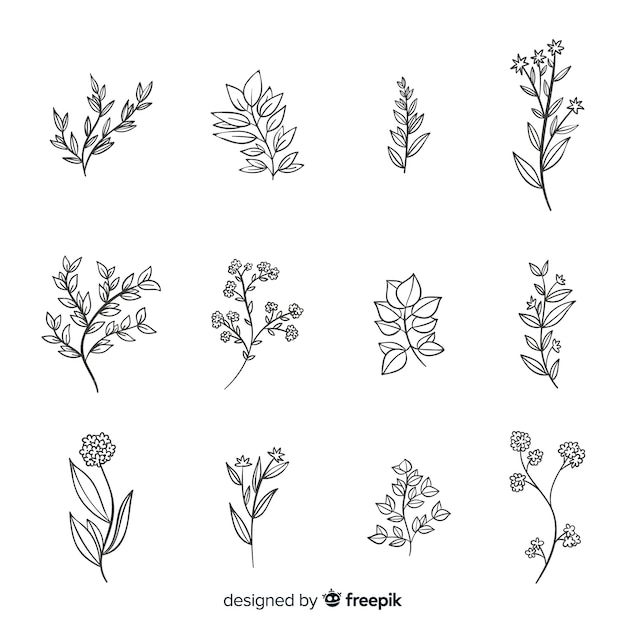Download Free Vector | Realistic hand drawn flowers and leaves