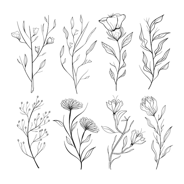 Download Realistic hand drawn herbs & wild flowers | Free Vector