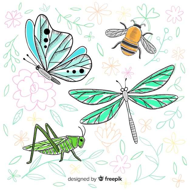 リアルな手描きの昆虫コレクション 無料のベクター