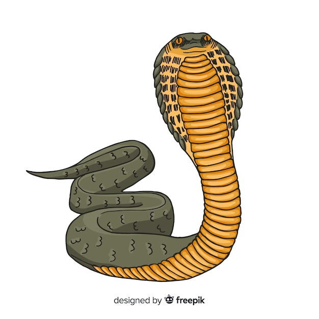 リアルな手描きのヘビ 無料のベクター