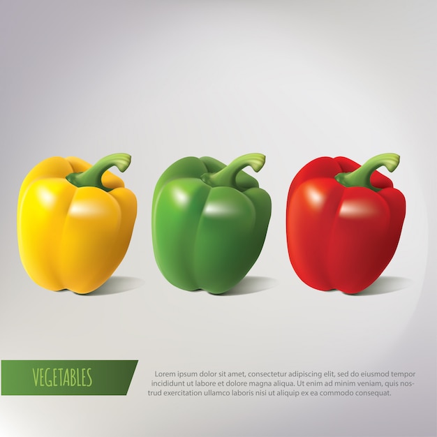 Premium Vector Realistic Illustration Of Three Peppers Yellow Red