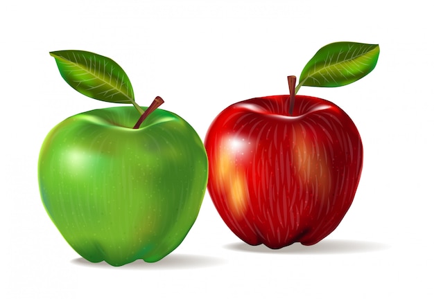 2つの果物のリアルなイメージ 皮の質感を持つ赤と緑のリンゴ 影とlievesと白い背景で隔離の2つのリンゴのセットです プレミアムベクター