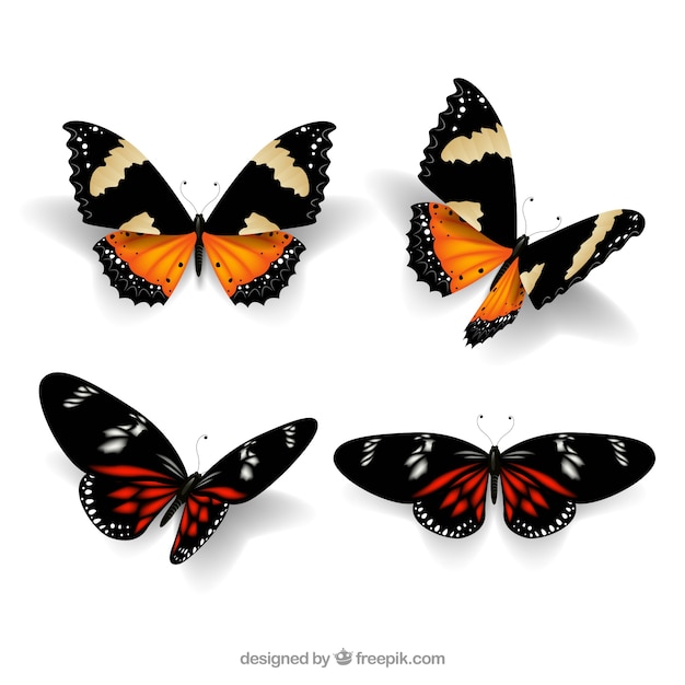 Realistic pack of four butterflies