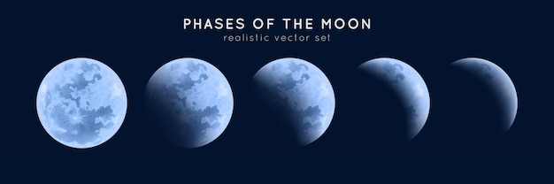Realistic phases of the moon. | Premium Vector