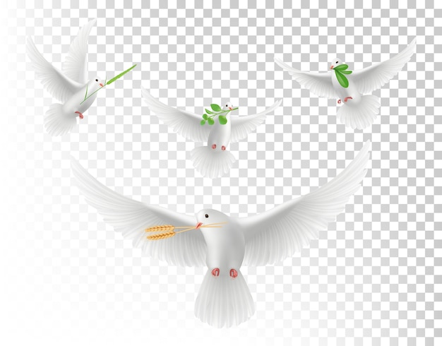 枝のあるリアルな鳩 白い空飛ぶ鳩の孤立したセット 緑の枝とイラストリアルな鳩 プレミアムベクター