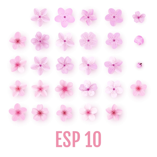 Realistic pink sakura petals icon set. cherry flowers Premium Vector