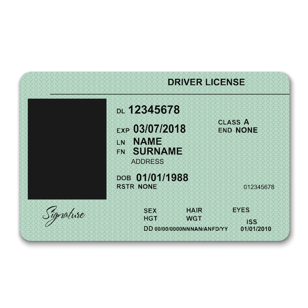 Realistic plastic driver licence front template Vector ...