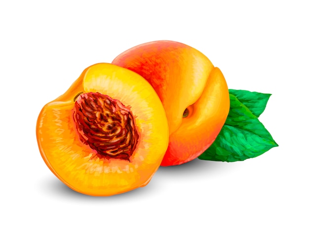 現実的な完熟桃 丸ごとスライス 桃のジューシーな甘いフルーツ3 D高詳細は 白い背景で隔離 ベクトルのリアルなイラスト プレミアムベクター