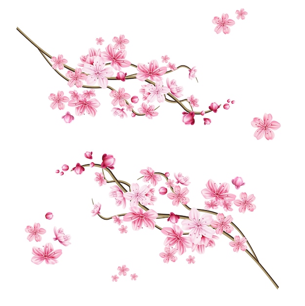 リアルな桜の枝 エレガントな日本のシンボル ピンクの花びらと咲く植物の小枝 アジアの文化的シンボル 花の春のデザインの装飾 プレミアムベクター