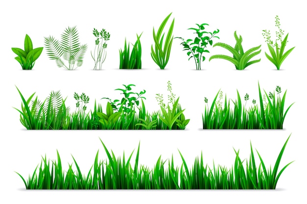 リアルな春の草セット 緑の新鮮な植物や庭の季節の植物の緑のハーブの葉を描いたリアリズムスタイルのコレクション プレミアムベクター