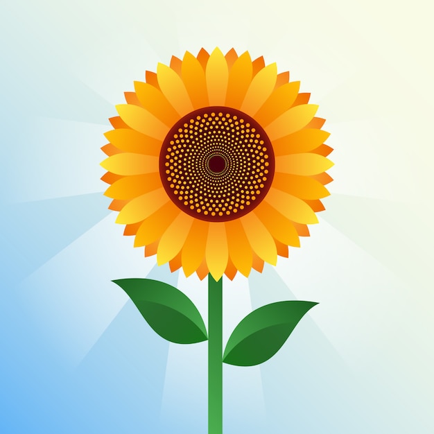 Download Realistic sunflower Vector | Premium Download