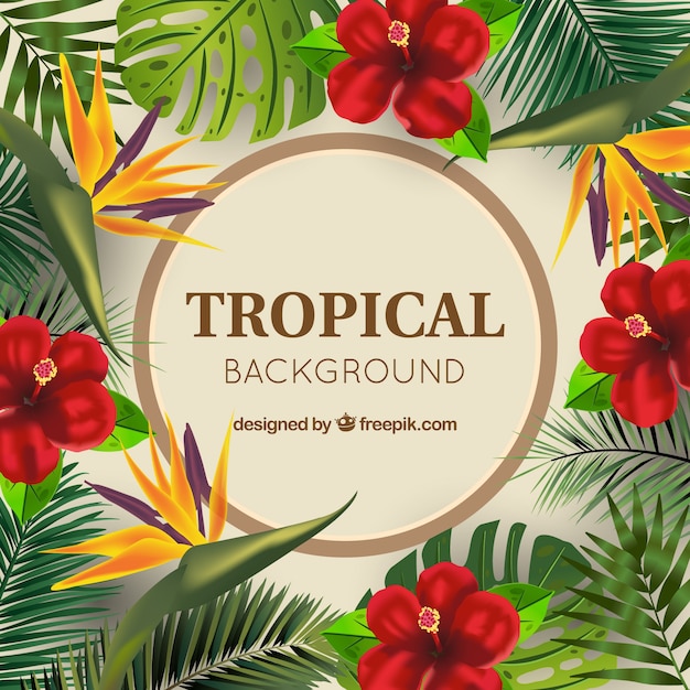 Realistic tropical flower background with
circle