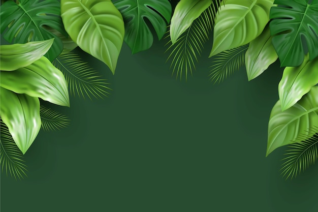  Realistic tropical leaves background
