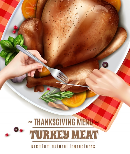 Free Vector Realistic turkey illustration