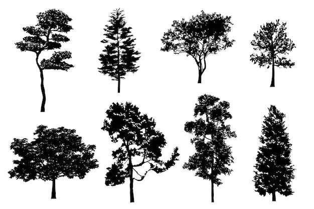 Premium Vector | Realistic vector detailed tree silhouettes set ...