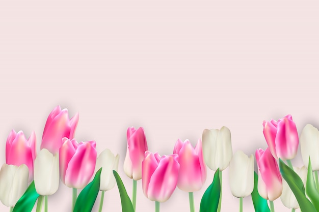 Premium Vector | Realistic vector illustration colorful tulips ...