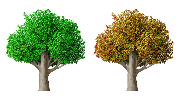 Realistic vector tree summer and autumn Premium Vector
