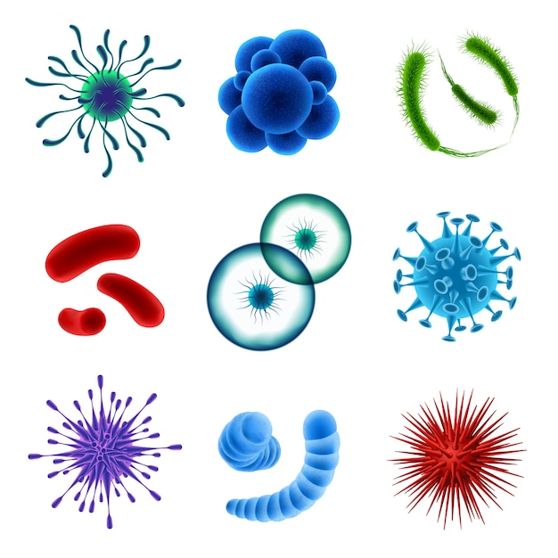 Free Vector | Realistic virus cells set