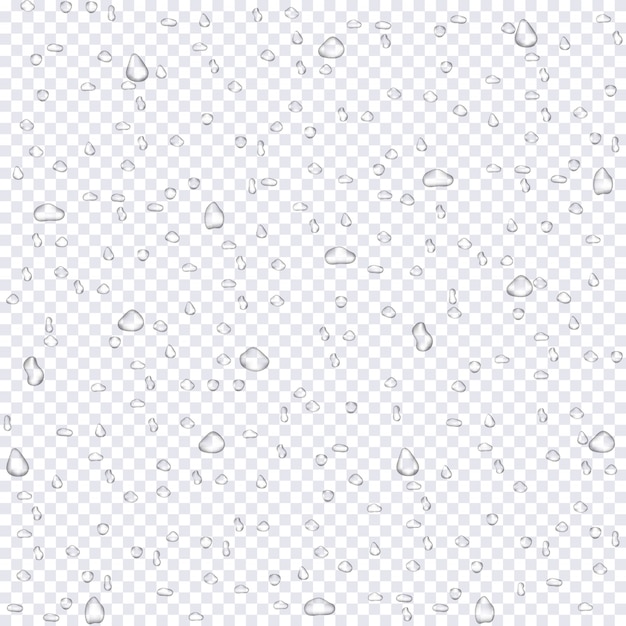 Download Free Realistic Water Rain Drops On Transparent Background Premium Vector Use our free logo maker to create a logo and build your brand. Put your logo on business cards, promotional products, or your website for brand visibility.