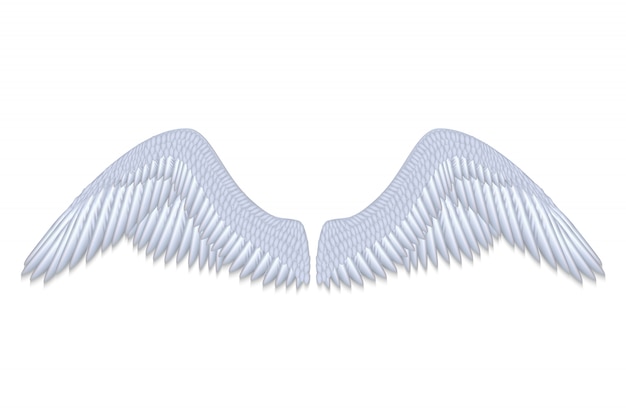 リアルな白い天使の羽の分離ベクトルイラスト プレミアムベクター