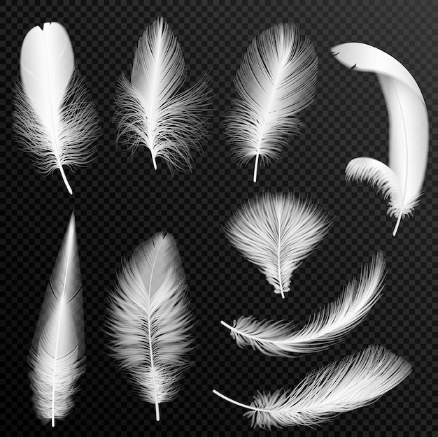 Premium Vector | Realistic white feathers collection. set of fluffy ...