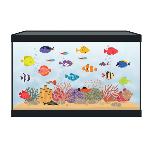 Premium Vector | Rectangular aquarium with colorful fish