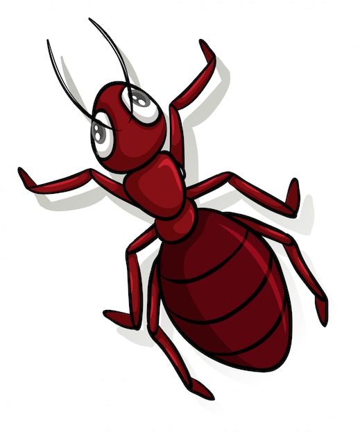 Free Vector | A red ant