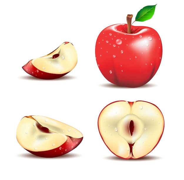 apple illustrator free download