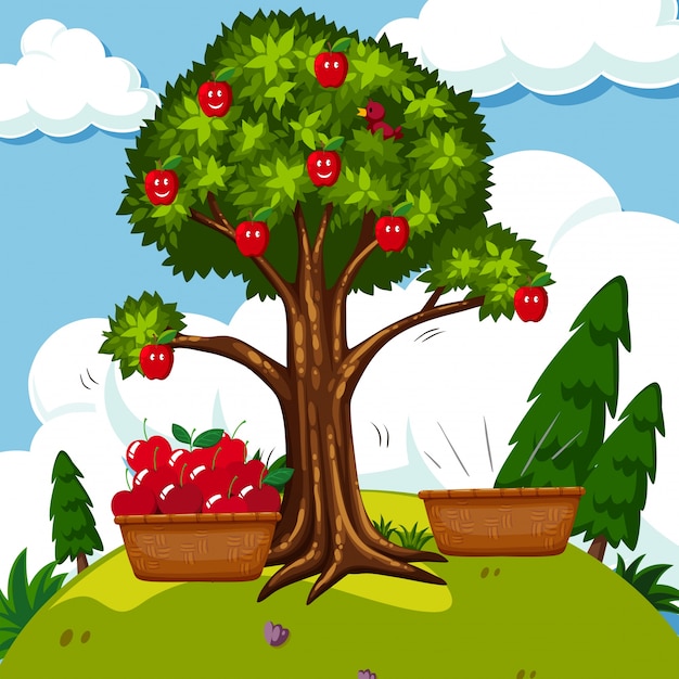 Download Apple Tree Vectors, Photos and PSD files | Free Download