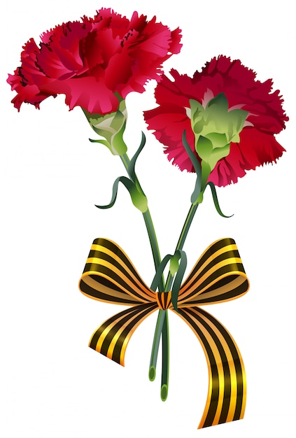 赤いカーネーションの花の花束とセントジョージリボンシンボルロシアの勝利の日 プレミアムベクター