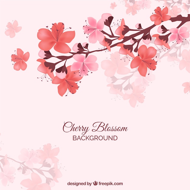 Red cherry blossom background Free Vector Red cherry blossom background Free Vector