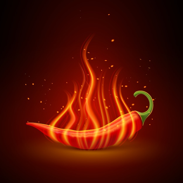Red chili pepper realistic single object Free Vector