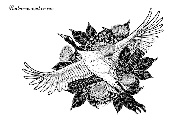 Red-crowned crane vector flying by hand drawing Premium Vector